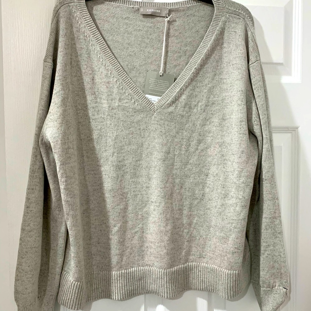 Everlane 100% Cotton Sweater
